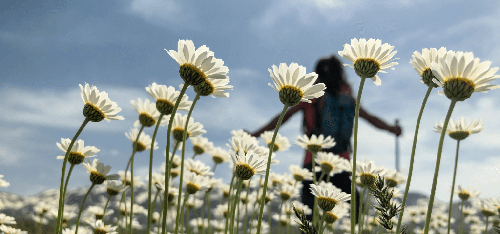 Energy Givers vs. Energy Takers: Πώς να Ενισχύσεις τη Ζωτικότητά σου